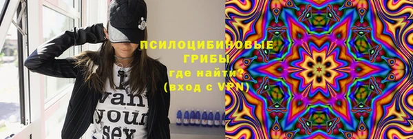 PSILOCYBIN Волосово